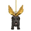 Design Toscano Honor the Pooch: Weimaraner Holiday Dog Angel Ornament - 3 of 4