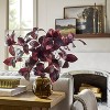 15.5" Black Plum Leaf Artificial Fall Arrangement - Hearth & Hand™ with Magnolia - 2 of 3