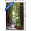 Trends International Lantern Press - Redwoods Pathway in Trees Framed Wall Poster Prints - 3 of 4