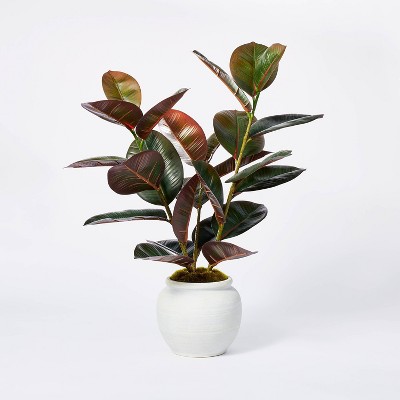 6" x 4.5" Artificial Rubber Plant in Ceramic Pot Purple - Threshold™ designed with Studio McGee