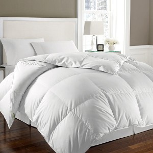 Blue Ridge Kathy Ireland 240 Thread Count Solid Cover White Goose Down And Feather Comforter - White - 1 of 1