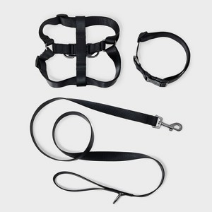 Basic Walk Dog Walk Collar Harness Leash Set - Boots & Barkley™ 3pc - 1 of 4