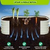 2pcs Raised Garden Beds Outdoor Kit, Galvanized Oval Planter Box, Metal Bottomless Elevated Garden Boxes Set for Planting - 3 of 4