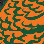 florida a&m rattlers