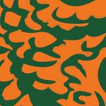 florida a&m rattlers