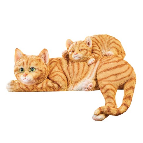 baby orange tabby cats