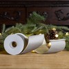 Melrose Wired Polyester Ribbon 4" x 10 yds. - 3 of 3