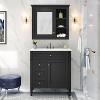 SeaCamel 30" Single Sink Bathroom Vanity - Modern Storage Cabinet with 2 Drawers & Tip-out Drawer - 2 of 4