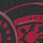 washington state cougars