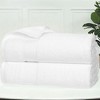 Classic Zero Twist Cotton Medium Weight Ultra-Soft Absorbent Towel Set by Blue Nile Mills - 2 of 4