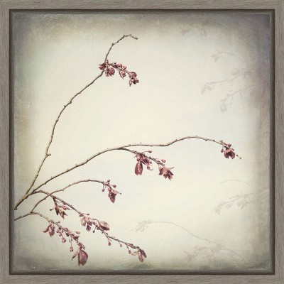 Amanti Art Plum Tree Branch with Spring Buds by Jaynes Gallery Danita Delimont Canvas Wall Art Print Framed 16 x 16-in.