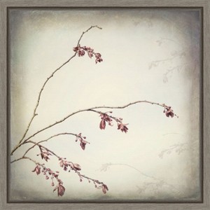 Amanti Art Plum Tree Branch with Spring Buds by Jaynes Gallery Danita Delimont Canvas Wall Art Print Framed 16 x 16-in. - 1 of 4