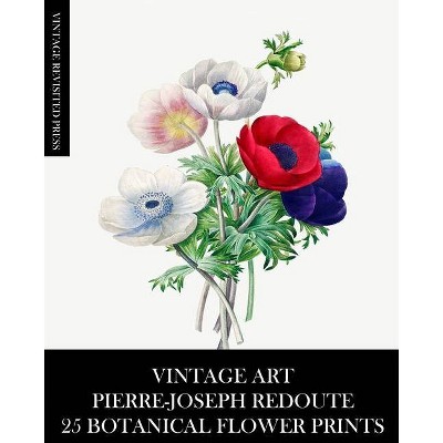 Vintage Art - by  Vintage Revisited Press (Paperback)