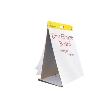 Post-it® Easel Pad, 25 in x 30 in, White, 30 Sheets/Pad, 2 Pads
