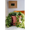 The HC Companies Indoor/Outdoor Classic Plastic Flower Pot Container Garden Planter with Molded Rim - 3 of 4