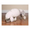 Proselect Stainless Steel Dog Bowl with Rubber Base, 8-Inch, 52-Ounce - 3 of 3