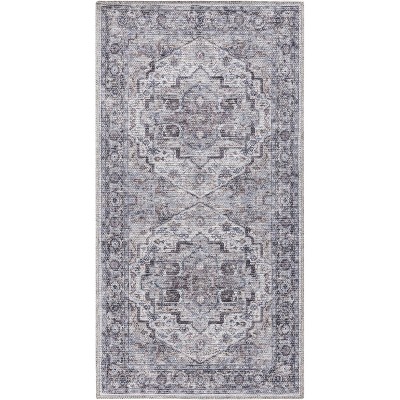 Nourison New Concept Washables Vintage Indoor Area Rug