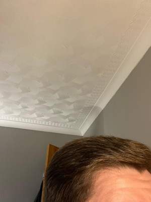 Guest review image 1 of 5, zoom in