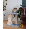 Armarkat 2-Level Platform Real Wood Cat Scratcher with Sisal Carpet Board - 3 of 4