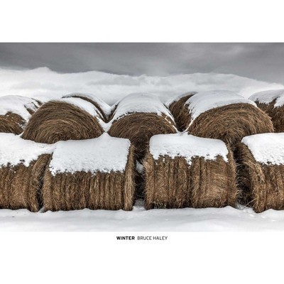 Winter - (Hardcover)