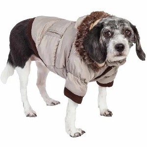 Racxily Classic Metallic Fashion Pet Dog Coat Jacket Parka w/ 3M Insulation and Removable Hood, - 1 of 4