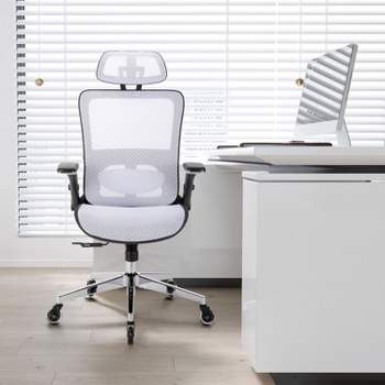 Ergonomic Mesh Office Chair-Adjustable Headrest with Flip-Up Arms, Tilt and lock Function, Lumbar Support and Blade Wheels, Metal legs-The Pop Home