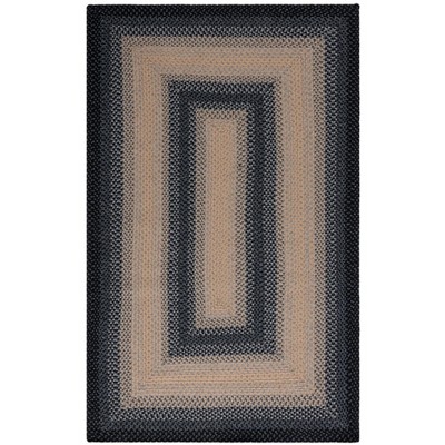 Braided BRD311 Hand Woven Area Rug  - Safavieh