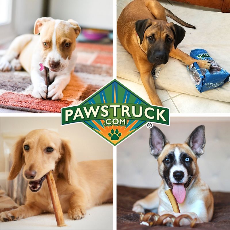 Pawstruck All-Natural Bully Sticks for Dogs & Puppies - Rawhide Free Single Ingredient Dental Chew Treat - Varying Sizes, 4 of 9