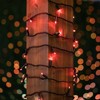 Novelty Lights 50 Light LED Christmas Mini Light Set (Black Wire, 11 Feet) - 3 of 4