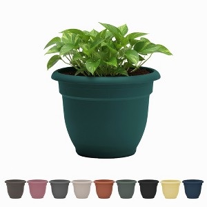 Bloem Ariana Round Resin Planter Pot Indoor and Outdoor Gardening - 1 of 4