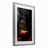 Stupell Industries Bewitching Gaze of Owl Framed Print Under Glass - 2 of 4