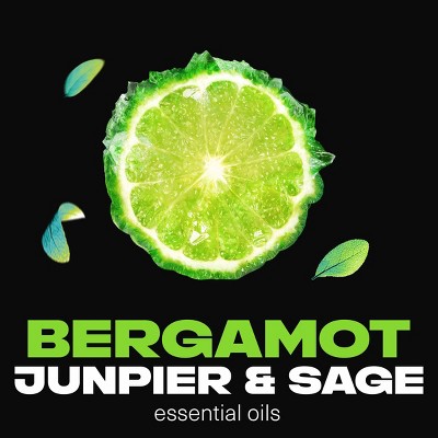 Axe Aqua Bergamot 72-Hour Aluminum-Free Premium Body Spray - Sage + Juniper - 4oz