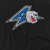 Campus Lab University of North Carolina Asheville Official Distressed Primary Logo Adult T Shirt - 2 of 4
