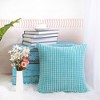 PiccoCasa Home Bedroom Comfortable Soft Velvet Throw Pillow Cover - 4 of 4