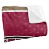 Lafayette College Logo Dots Silky 50x60 Blanket, 1 Sided - 3 of 4