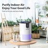 FreAire Air Purifiers for Home,538 Ft²/h, Room air purifier with 3-in-1 for Dust Dander Odors Smoke, Small Air Purifier - 2 of 4