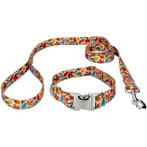 Country Brook Petz Premium Collar and Leash - Awesome Autumn Collection - 1 of 4