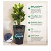 Modern Diamond Planters - 2-Pack featuring self-watering system, drain holes and water monitor. Ideal for indoor and outdoor use. - 3 of 4