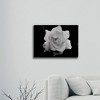 Kurt Shaffer 'Gardenia In Black And White' Floating Brushed Aluminum Art - 3 of 4