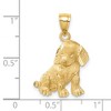 Black Bow Jewelry 14k Yellow Gold Satin & Diamond-Cut Puppy Pendant, 17 x 26mm - 4 of 4
