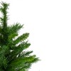 Northlight 2 FT Mixed Kateson Fir Medium Artificial Christmas Tree - Unlit - 4 of 4