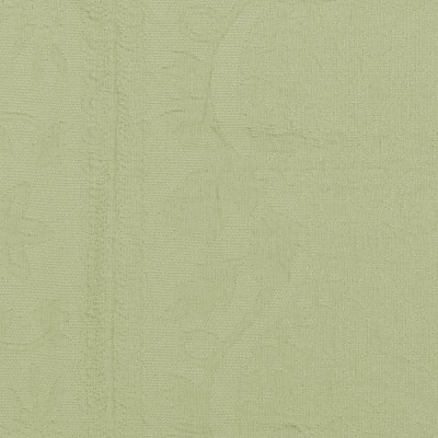 Sage Elegance Stonewashed Cotton King Sham with Vine Details