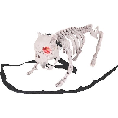 Halloween Express  8 x 16 in Barking Skeleton Dog Decoration