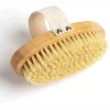 Firm Dry Body Brush, Anti-Cellulite Brush for Blood Circulation & Smoothing, Includes 1 Hand-Held Brush, M3 Naturals - 2 of 4