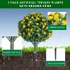 23.6" Artificial Rose Topiary Ball Trees with Ground Spike, UV Resistant Greenery Shrubs with Flowers, Fake Plants with Metal Stakes - 3 of 4