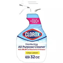 Clorox Disinfecting All Purpose Cleaner - 32 fl oz