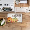 Stupell Industries Autumn Blessings Pumpkins Printed Anti-Fatigue Floor Mat, design by Kim Allen, 30"x18" - 3 of 4