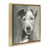 Stupell Industries Muted Dog with Quiet Expression, 18" x 18" - 3 of 4