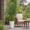 Orieon 5FT Artificial Palm Tree with White Planter, Tall Faux Areca Palm Indoor Outdoor Decor for Living Room, Office, Patio - 3 of 4