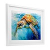 Stupell Industries Graceful Swimmer Tortoise Framed Print Under Glass Art - 2 of 4